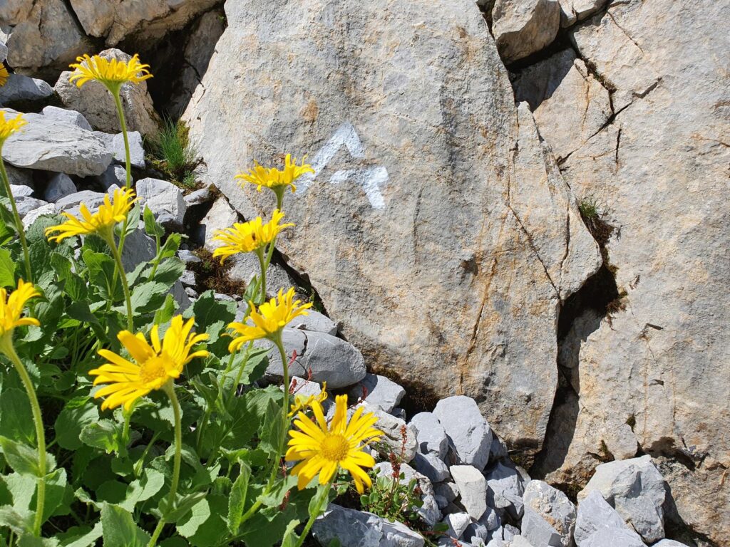 Arlberg Trail Saisonende 2021 -1