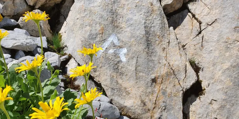 2025: Alle Wegabschnitte kontrolliert – der Arlberg Trail ist sehr gut begehbar