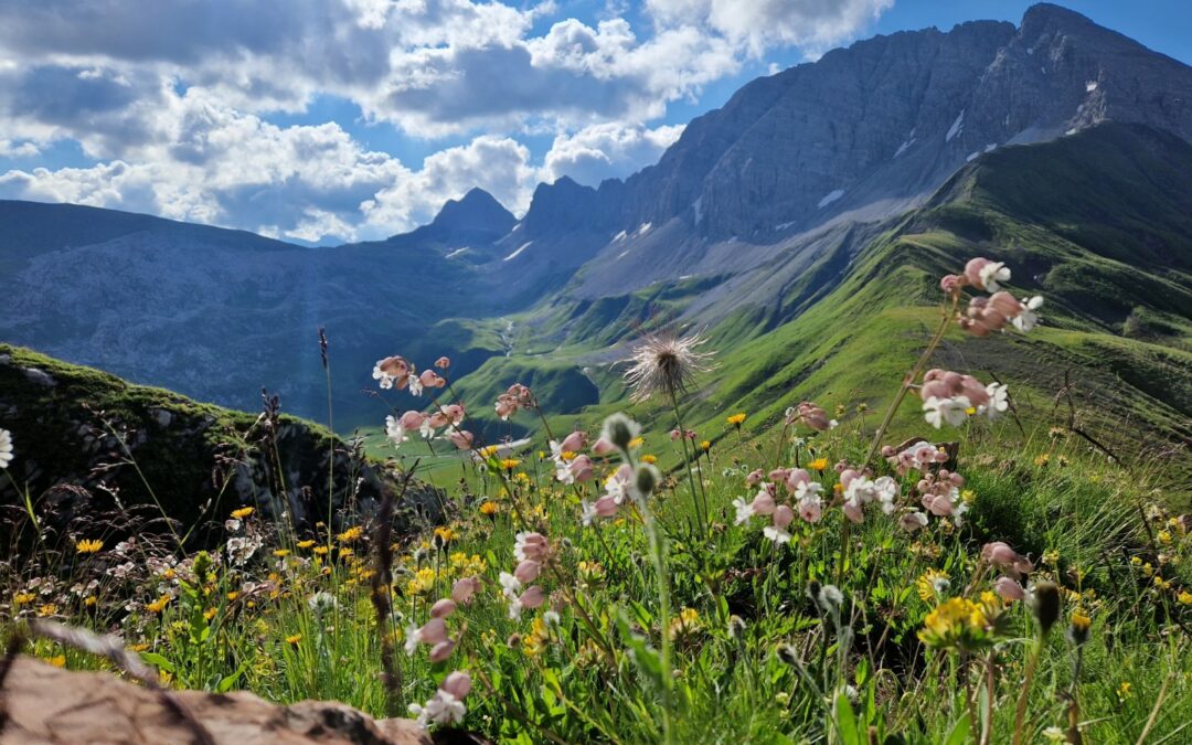 Arlberg Trail Saisonstart 2022