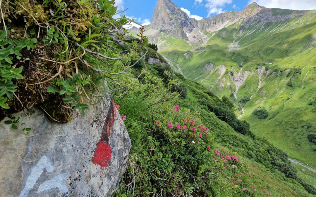 Die Sommersaison am Arlberg Trail 2022