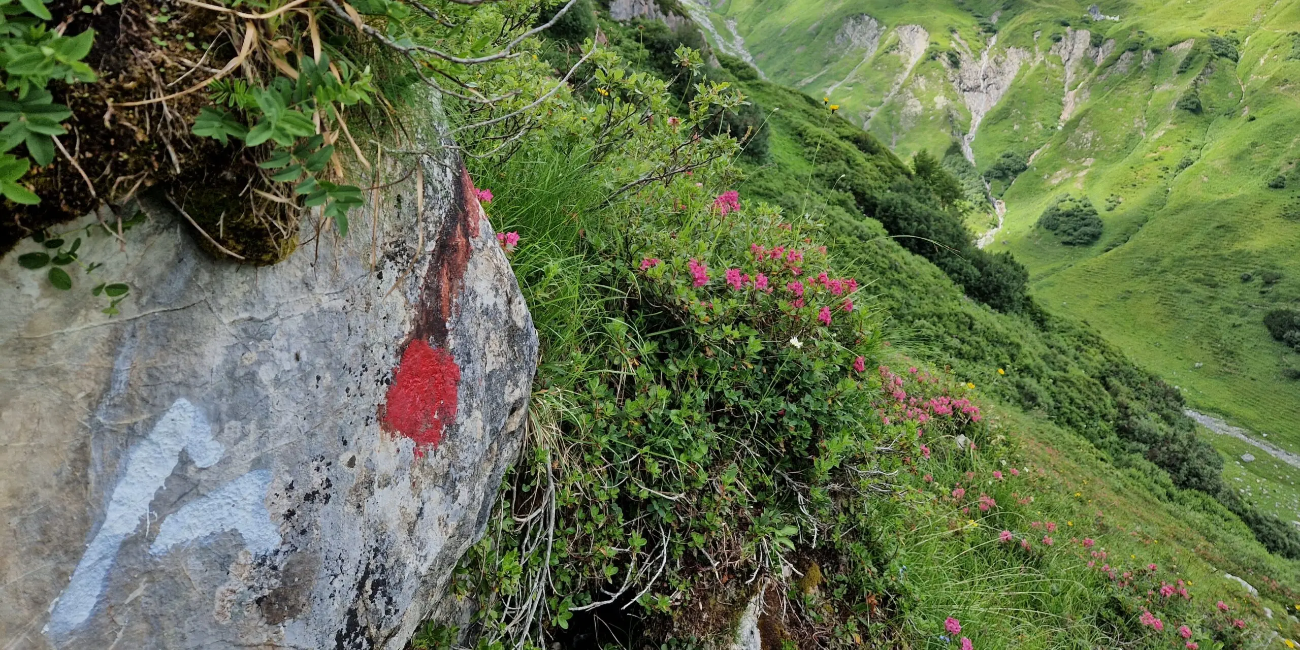 Die Sommersaison am Arlberg Trail 2022