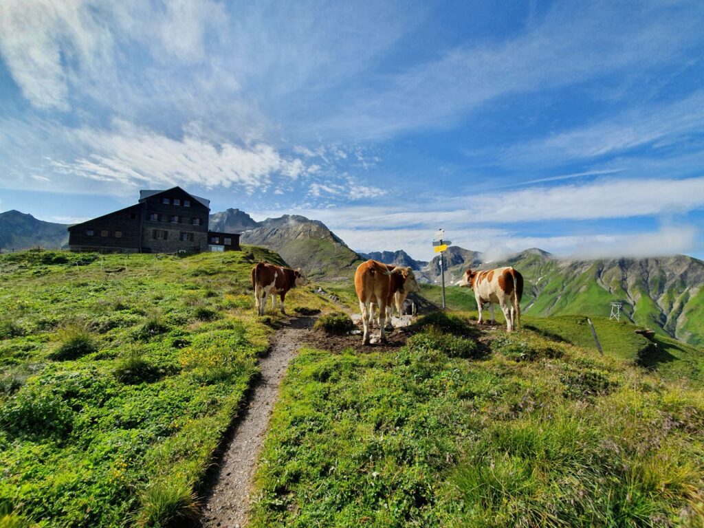 Arlberg Trail Saisonende 2021 -3